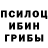 Псилоцибиновые грибы мицелий KolunBal Play