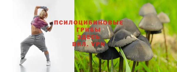 дживик Киреевск