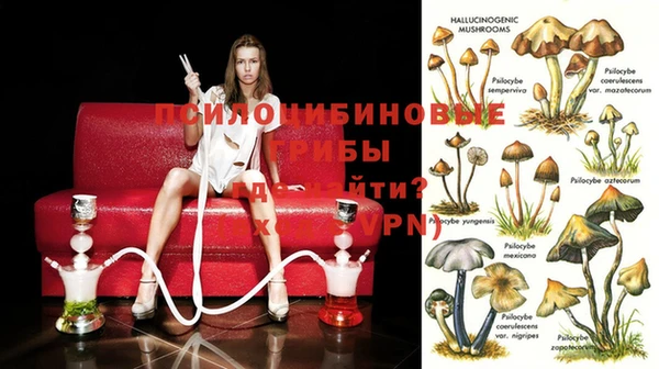 дживик Киреевск